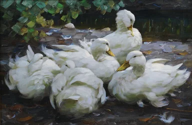 Cinco patos brancos em repouso